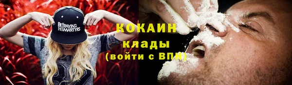 мяу мяу кристалл Няндома