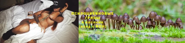 кристаллы Нягань