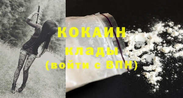 мяу мяу кристалл Няндома