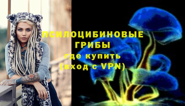 мяу мяу кристалл Няндома