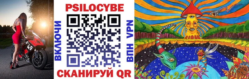 Псилоцибиновые грибы Psilocybe  купить  сайты  Владимир 