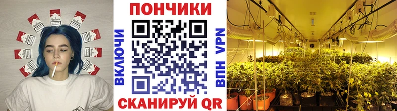 Бошки марихуана марихуана  Владимир 